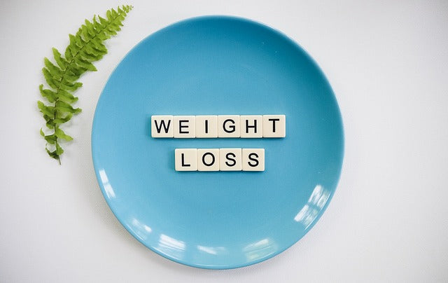 weight loss scale