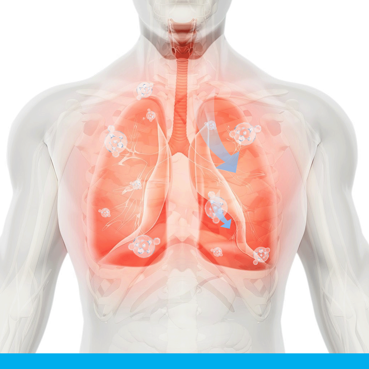 Respiration Care